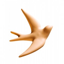 hirondelle pêche